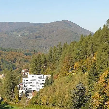 Apartament 46 Niedzwiedzie Zacisze Blisko Szczyrk - 5d Ξενοδοχείο *