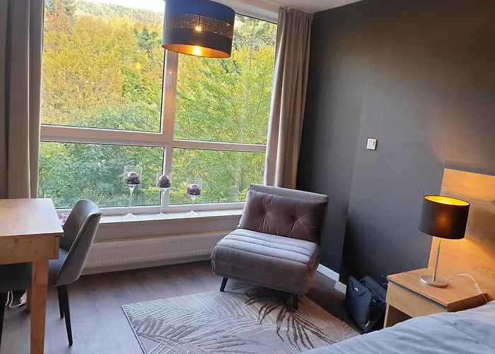 Apartament 46 Niedzwiedzie Zacisze Blisko Szczyrk - 5d מלון *