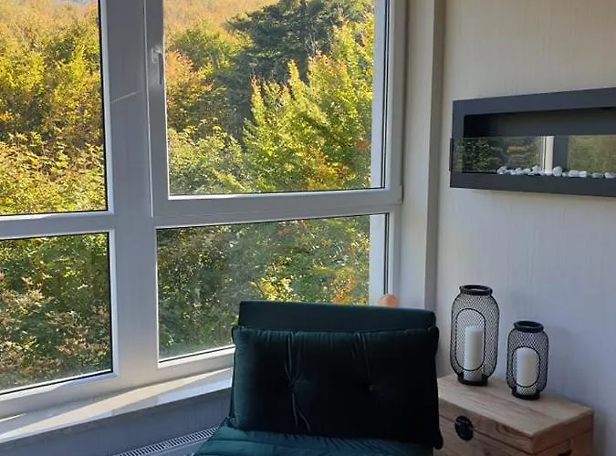 Apartament 46 Niedzwiedzie Zacisze Blisko Szczyrk - 5d מלון