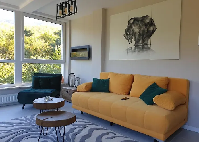 Apartament 46 Niedzwiedzie Zacisze Blisko Szczyrk - 5d *