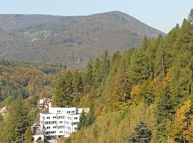 Apartament 46 Niedzwiedzie Zacisze Blisko Szczyrk - 5d מלון *